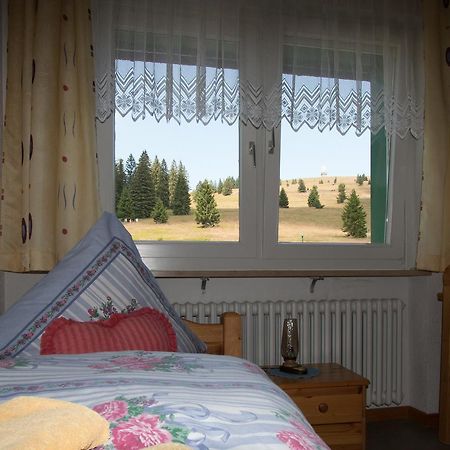 Berggasthof-Pension Todtnauer Hutte Feldberg  Εξωτερικό φωτογραφία