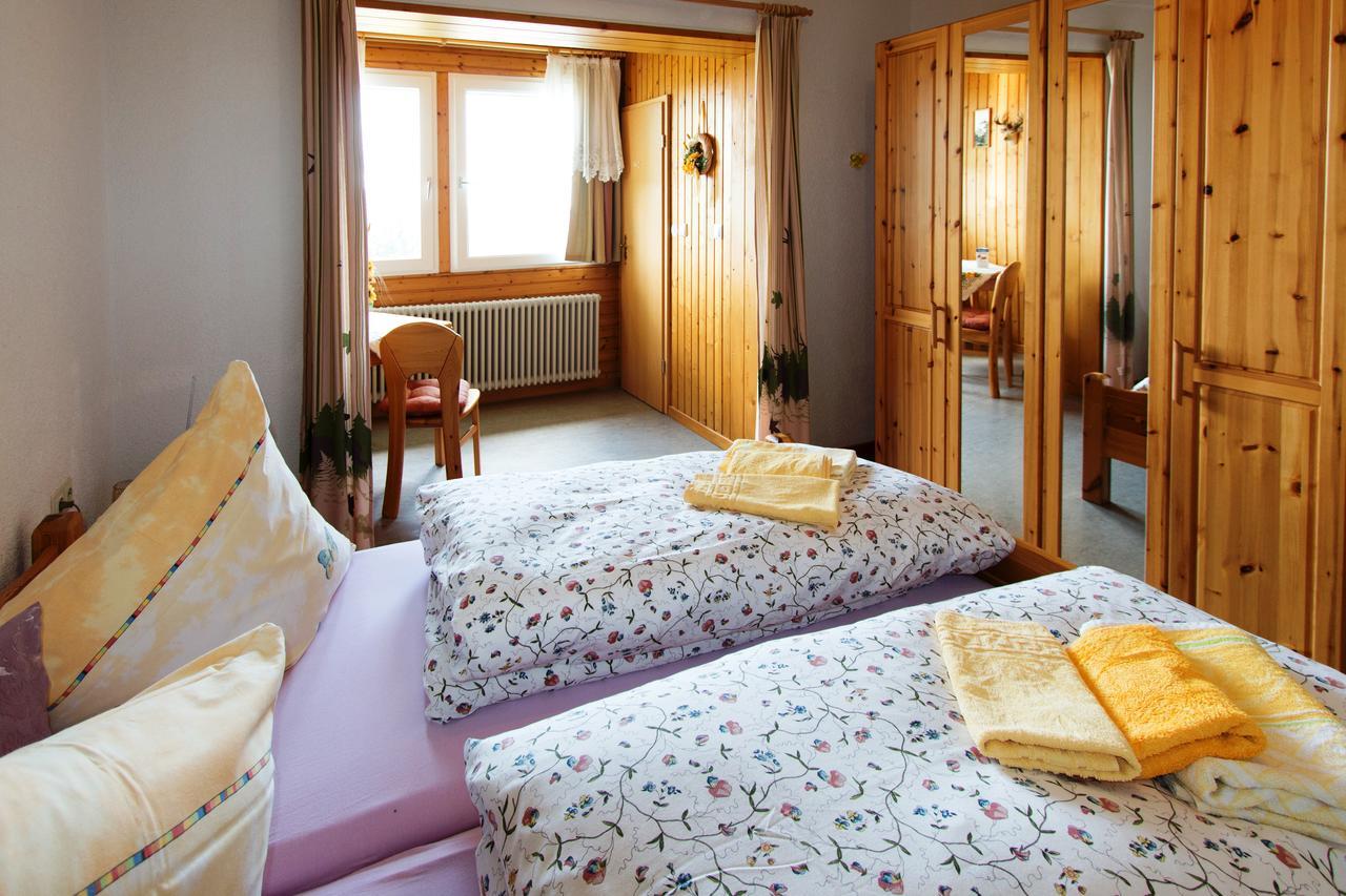 Berggasthof-Pension Todtnauer Hutte Feldberg  Εξωτερικό φωτογραφία