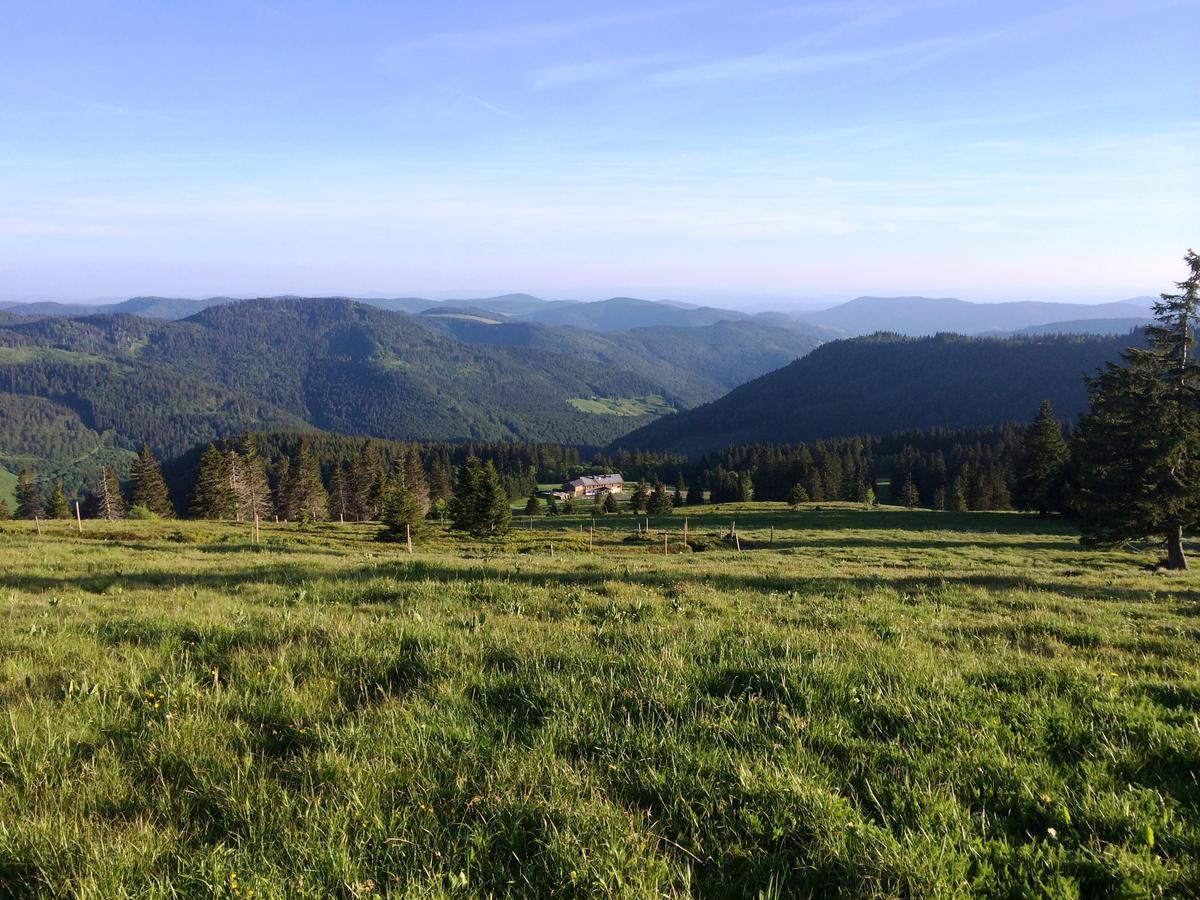 Berggasthof-Pension Todtnauer Hutte Feldberg  Εξωτερικό φωτογραφία