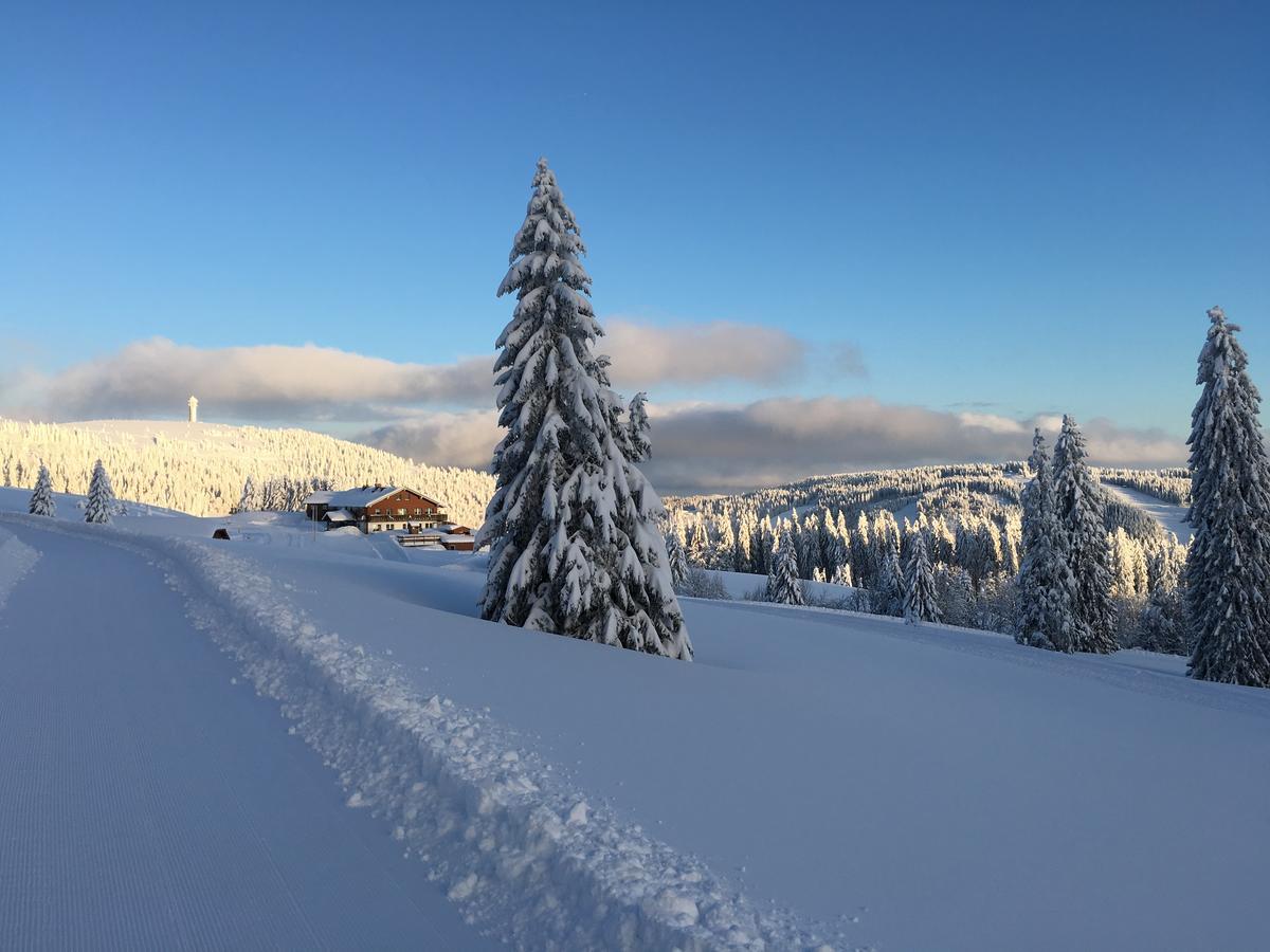 Berggasthof-Pension Todtnauer Hutte Feldberg  Εξωτερικό φωτογραφία