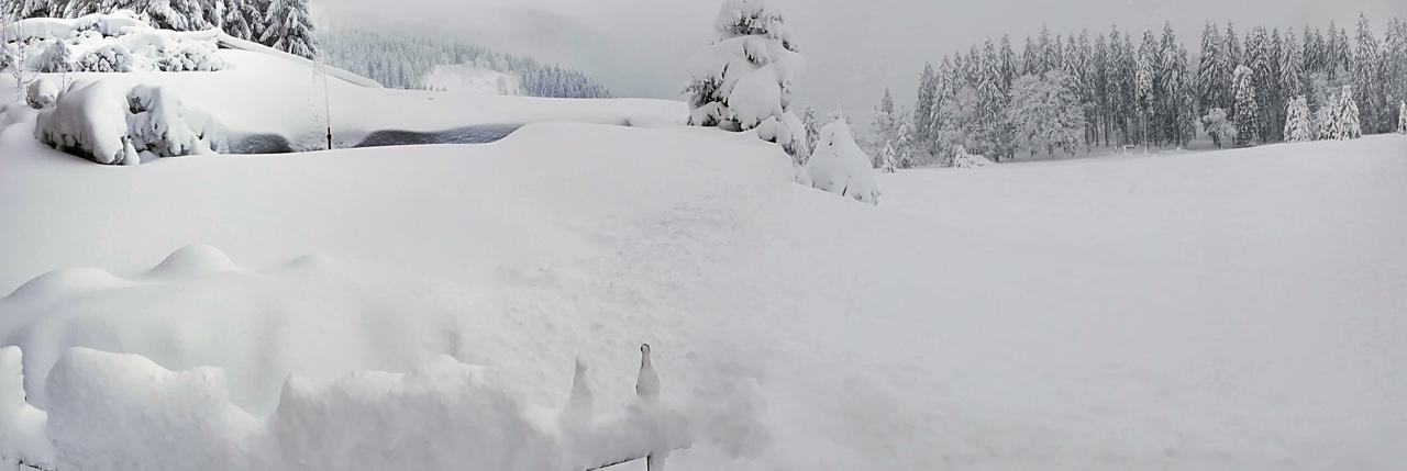 Berggasthof-Pension Todtnauer Hutte Feldberg  Εξωτερικό φωτογραφία