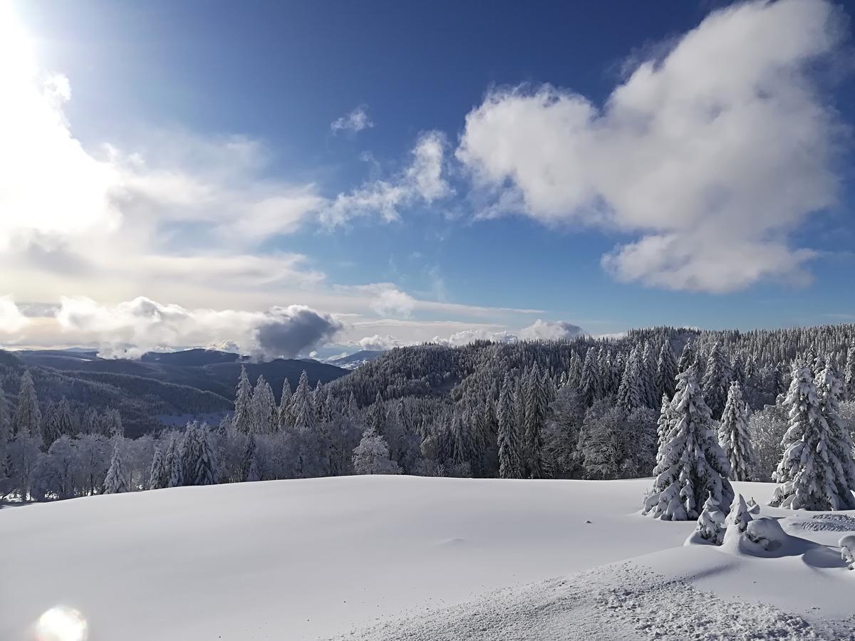 Berggasthof-Pension Todtnauer Hutte Feldberg  Εξωτερικό φωτογραφία